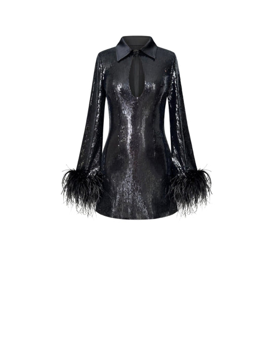 Sequin Mini Dress with Feathers Cuffs